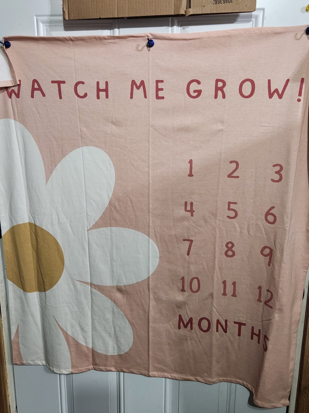 Watch Me Grow Pink Floral Baby Milestone Backdrop
